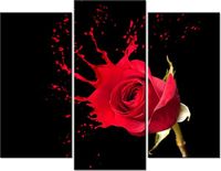 product-compare-58672329