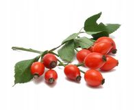 EQUIHERBS DZIKA RÓŻA cały owoc odporność wit. C dla koni horse 1 kg