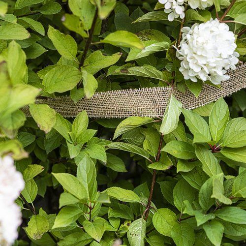 Taśma jutowa 5 cm / 8 m na Arena.pl