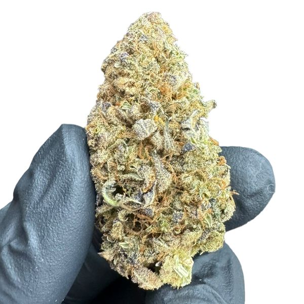 Jack Herer Susz Konopny CBD <20% 5g zdjęcie 5