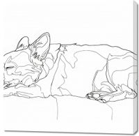 Obraz 100x100cm Śpiący Psiak