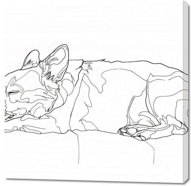 Obraz 100x100cm Śpiący Psiak zdjęcie 1