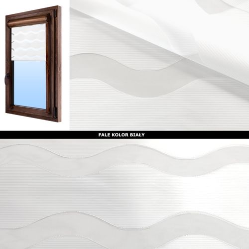 Roleta Dzień Noc w Kasecie Orzech FALE VEGAS na Arena.pl