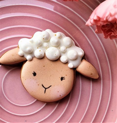 CIASTKO CIEKAWSKA OWIECZKA na Arena.pl