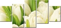 70CM 150CM OBRAZ 5 ELEM DELIKATNE TULIPANY ŚCIENNY