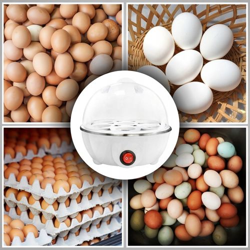 Jajowar elektryczny automat do gotowania jajek na Arena.pl