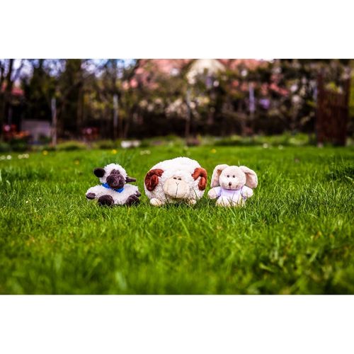 Pluszowa owca | Linda na Arena.pl