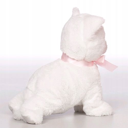 Interaktywny kotek reaguje na dźwięk i dotyk 6 funkcji miauczy siada śpiewa na Arena.pl