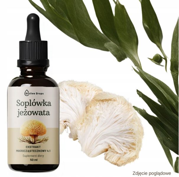 SOPLÓWKA JEŻOWATA KROPLE EKSTRAKT ADAPTOGENY Suplement lion's mane 50 ml zdjęcie 8