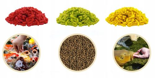 POKARM KARMA PASZA ZANĘTA GRANULAT DLA RYB KOI KARPI NA OCZKO WODNE na Arena.pl