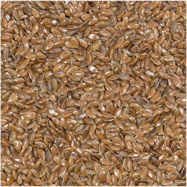 Siemię lniane 500g zdjęcie 3