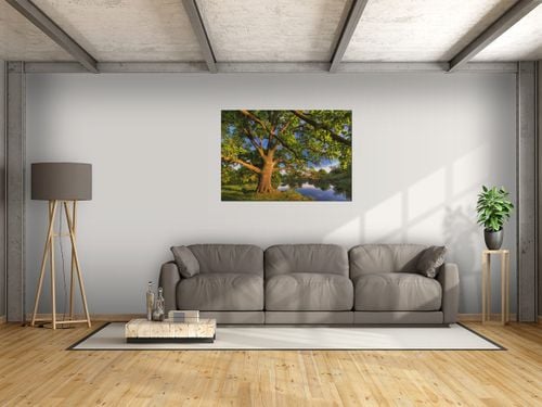 Obraz Rozłożysty dąb 100x70 na Arena.pl