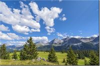 120CM 80CM OBRAZ ŚCIENNY WIDOK ALPY TAMBAKO THE JAGUAR