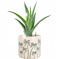 DONICZKA PALMY CERAMICZNA BEŻOWA 14cm na parapet kwiaty balkon taras
