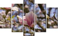 70 100CM OBRAZ 5 ELEM KWITNĄCE MAGNOLIE DRUK PŁÓTNO