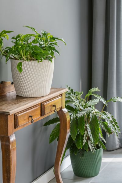 Doniczka okrągła Mika 23 z podstawką | Platyna, Kształt Okrągły, Wymiary 23x20.8 cm, Kolor Platyna, Form-Plastik zdjęcie 4