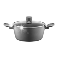 AMBITION GARNEK z POKRYWKĄ VERSO 28cm / 6,7L 22310 INDUKCJA GAZ