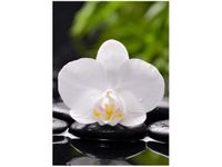 50X70CM BIAŁA ORCHIDEA OBRAZ PION ŚCIAN