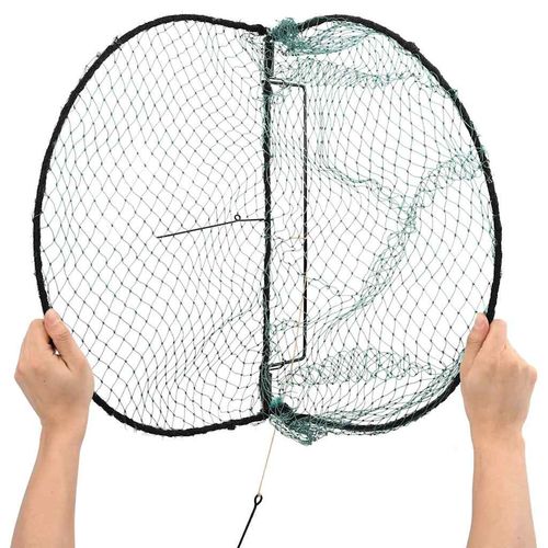 Pułapka na ptaki, zielona, 50 cm, stal na Arena.pl