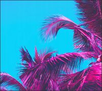 Tło do fotografii produktowej kulinarnej Flat Lay