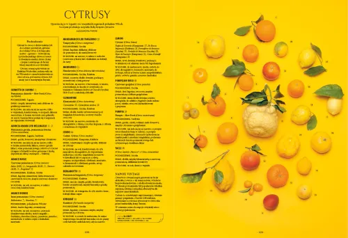 Italia Na Talerzu na Arena.pl