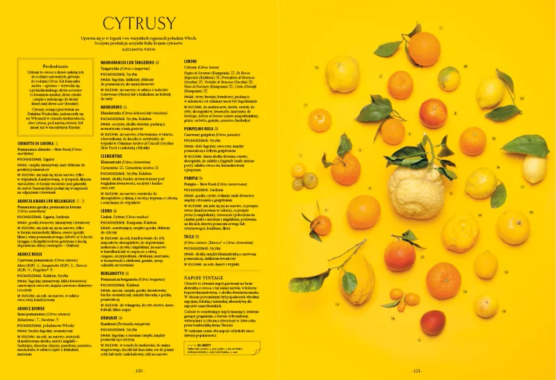 Italia Na Talerzu zdjęcie 6