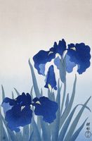 Plakat 53x81cm Iris Flowers, Koson Japoński Vintage do Salonu