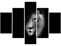 OBRAZ DUCH MROK LEW CIEŃ CZARNO-BIAŁY