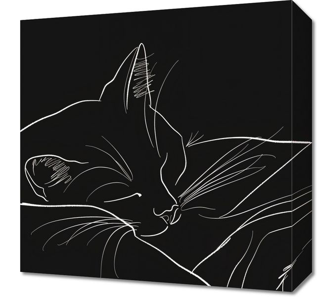 Obraz 40x40cm Nocny Spokój zdjęcie 1