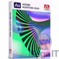 Audition 2020 - Licencja Wieczysta (LifeTime) - Windows - Użytkownik Indywidualny - BOX (ESD)