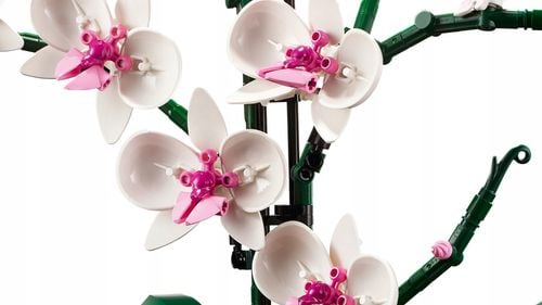 LEGO Icons Orchidea 10311 na Arena.pl