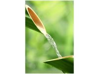 product-compare-58656598