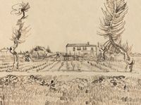 product-compare-50175006