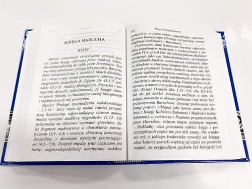 Pismo Święte – Stary Testament Tom Iv Duży Druk – Biblia Tysiąclecia na Arena.pl