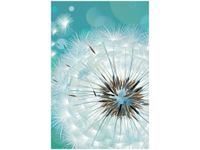 80CM 120 OBRAZ PUSZYSTY DMUCHAWIEC ŚCIENNY