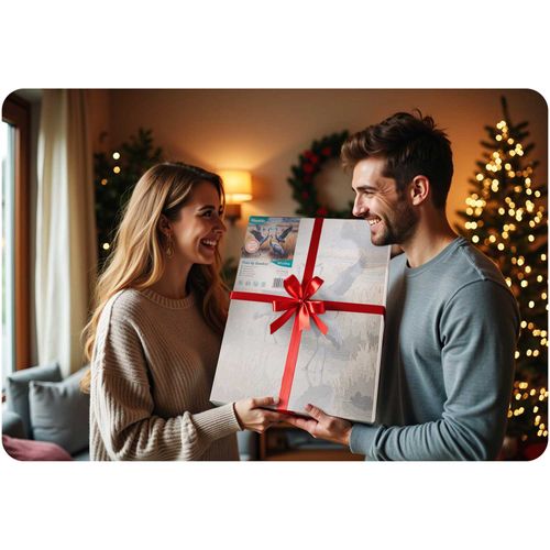 Obraz do malowania po numerach 40x50 cm Massido Żurawie na Arena.pl