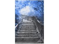 40X60CM OBRAZ STAIRS TO HEAVEN SCHODY DREWNIANE DRZEWA
