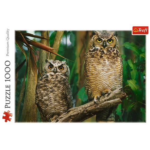 Puzzle 1000 Sowy na Arena.pl