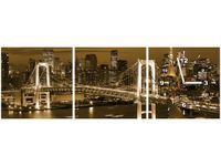 30 90CM OBRAZ 3 ELEM RAINBOW BRIDGE TOKIO ŚCIENNY PŁOTNO DRUK