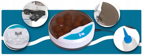 Inkubator wylęgarka automatyczna klujnik jaja kurze jajka na 9 jaj 20W na Arena.pl