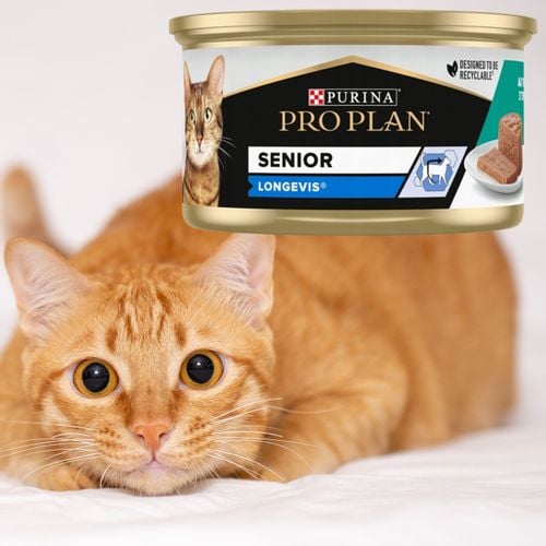 karma mokra dla kota purina pro plan senior kot mousse tuna tuńczyk 85g na Arena.pl