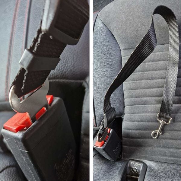 Smycz Samochodowa Dla Psa zdjęcie 2