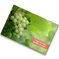 FOTO szklana deska kuchenna z dowolnym nadrukiem twoje zdjęcie 30x20cm