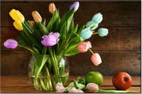 product-compare-58710928