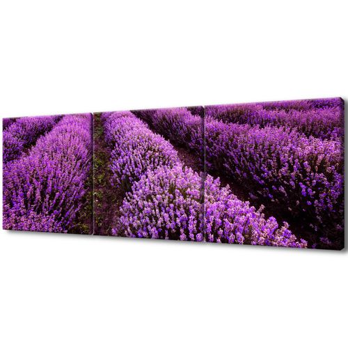 Obraz 150X50 Wschód Słońca na Arena.pl