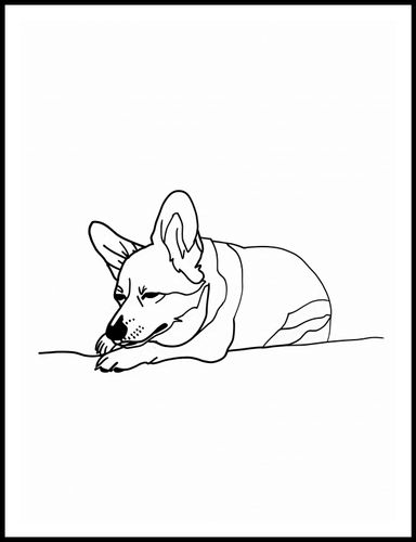 Plakat 75x100cm Śpiący Corgacz na Arena.pl