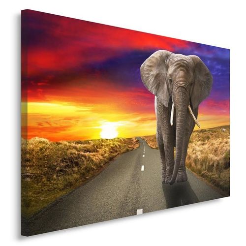 Obraz na płótnie - Canvas, Słoń na szosie 100x70 na Arena.pl