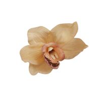 product-compare-61191211