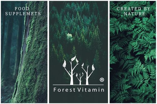 FOREST TUDCA KWAS TAUROURSODEOKSYCHOLOWY 60 KAPS na Arena.pl