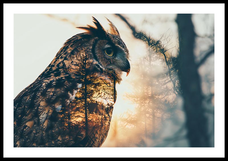 Plakat 60x40cm Sowi Duch zdjęcie 3